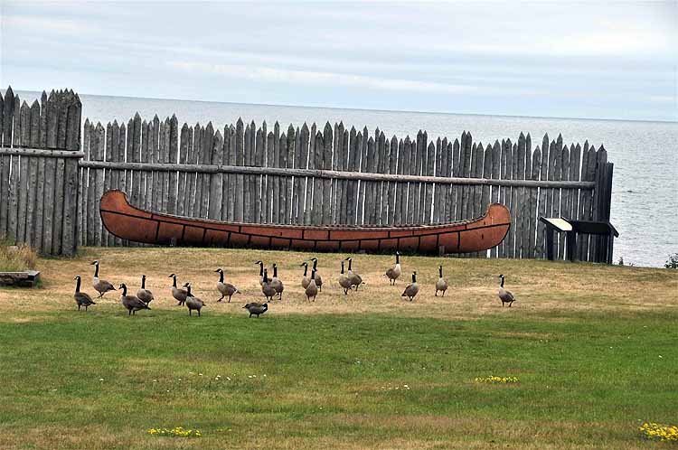 canoe
